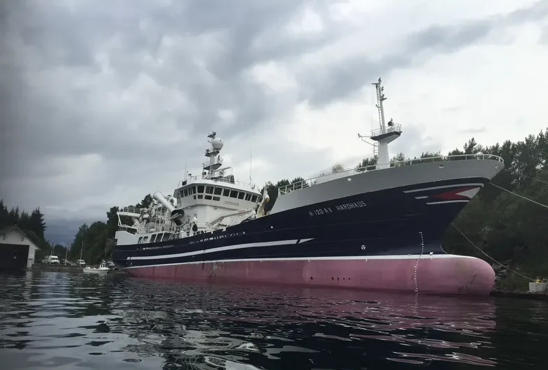 ALSEY General Cargo IMO 9263526 photo 8