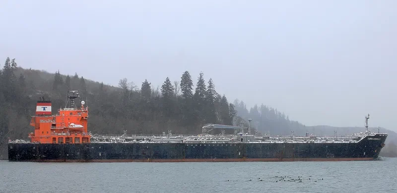 SINO STAR Tanker IMO 9263693 photo 3