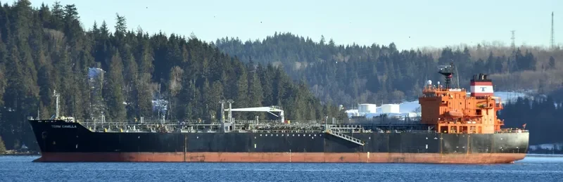 SINO STAR Tanker IMO 9263693 photo 8