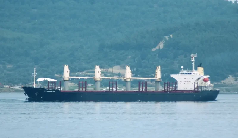 ABK TIGER Bulk Carrier IMO 9263760 photo 2