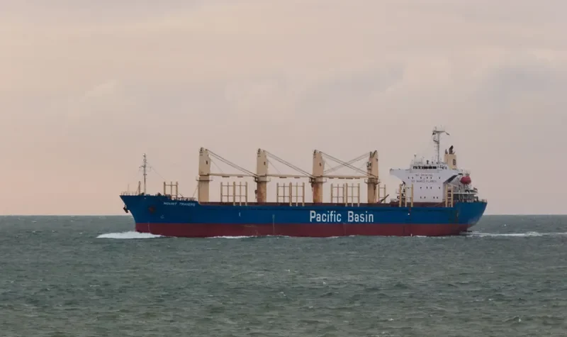 LUCKY BAY Bulk Carrier IMO 9263772 photo 2