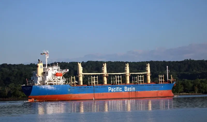 LUCKY BAY Bulk Carrier IMO 9263772 photo 3