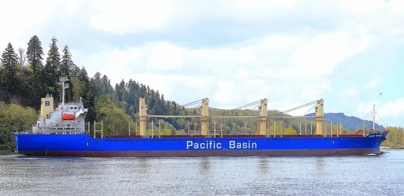 LUCKY BAY Bulk Carrier IMO 9263772 photo 7