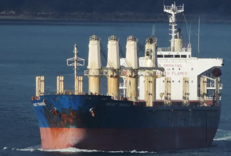 LUCKY BAY Bulk Carrier IMO 9263772 photo 10