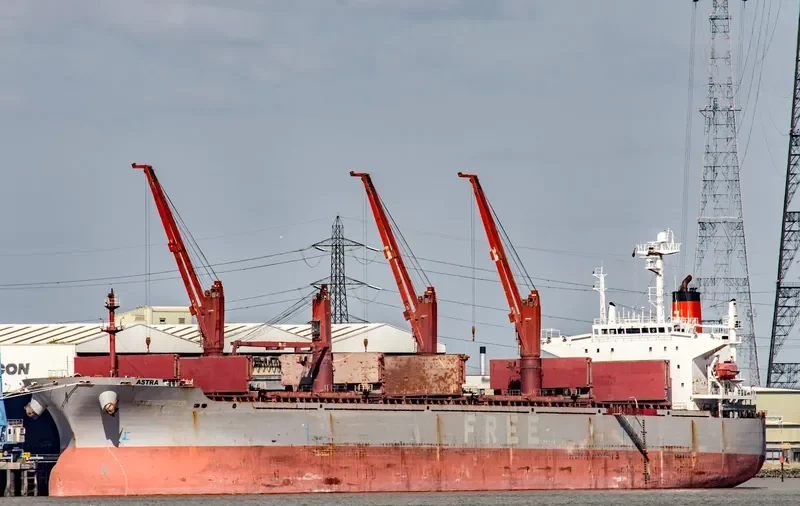 CHANGLIANGHAI Bulk Carrier IMO 9264037 photo 10