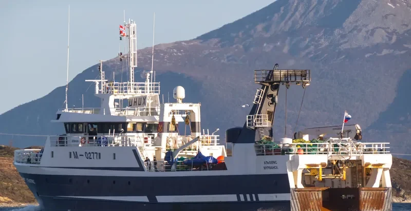 ALFERAS General Cargo IMO 9264099 photo 5
