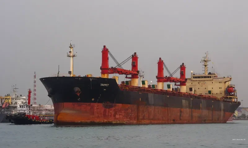 XIE HAI RUI FA Bulk Carrier IMO 9264128