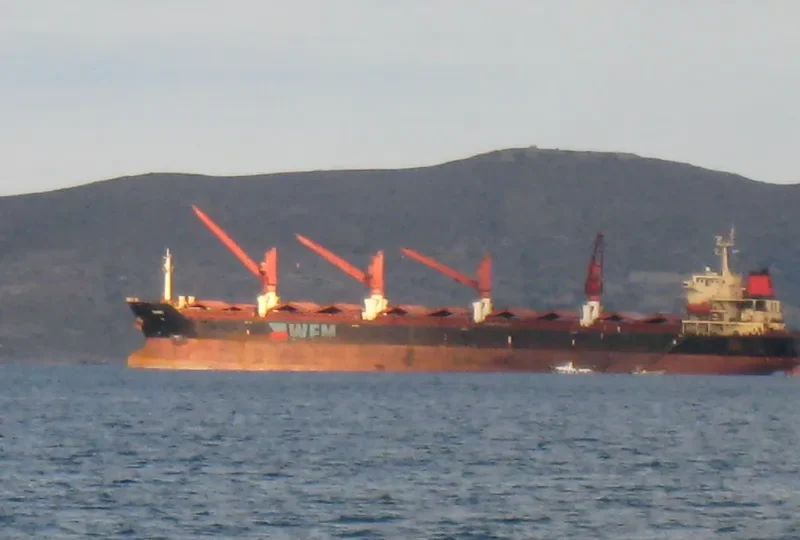 XIE HAI RUI FA Bulk Carrier IMO 9264128 photo 5