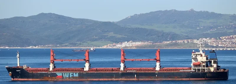 XIE HAI RUI FA Bulk Carrier IMO 9264128 photo 7