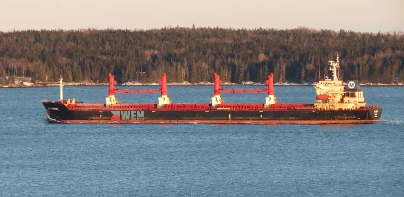 XIE HAI RUI FA Bulk Carrier IMO 9264128 photo 9