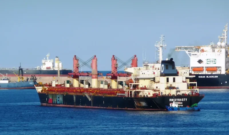 TRIUMPH Bulk Carrier IMO 9264130 photo 5