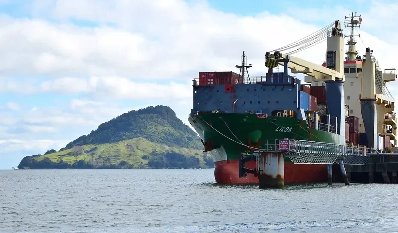 TAN CANG VICTORY Container Ship IMO 9264245