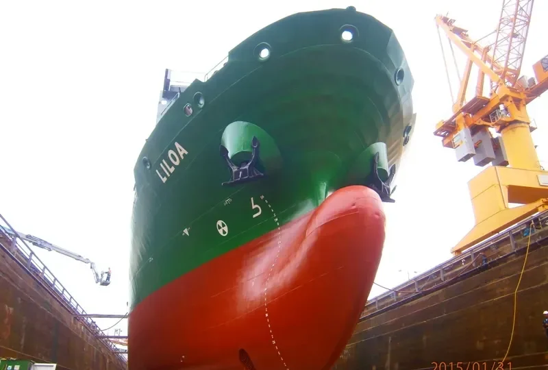 TAN CANG VICTORY Container Ship IMO 9264245 photo 2
