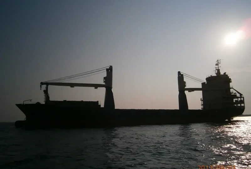 TAN CANG VICTORY Container Ship IMO 9264245 photo 6