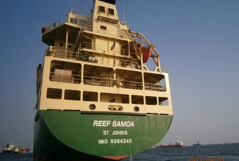 TAN CANG VICTORY Container Ship IMO 9264245 photo 7