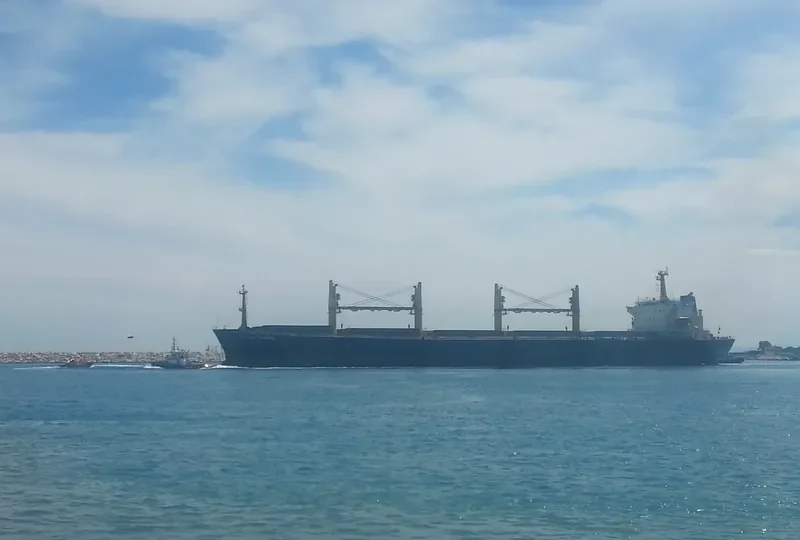 KANG ZHONG Bulk Carrier IMO 9264441 photo 2