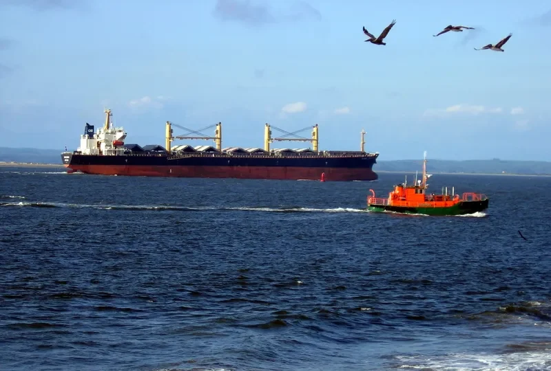 KANG ZHONG Bulk Carrier IMO 9264441 photo 8