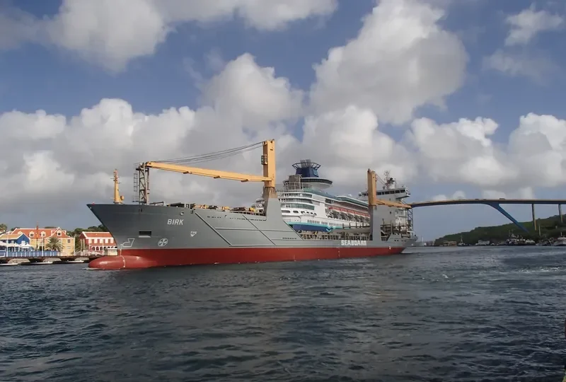 BIRK Container Ship IMO 9264740