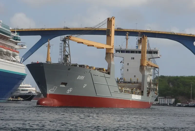 BIRK Container Ship IMO 9264740 photo 2