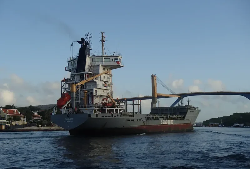 MERIOS Container Ship IMO 9264764 photo 2