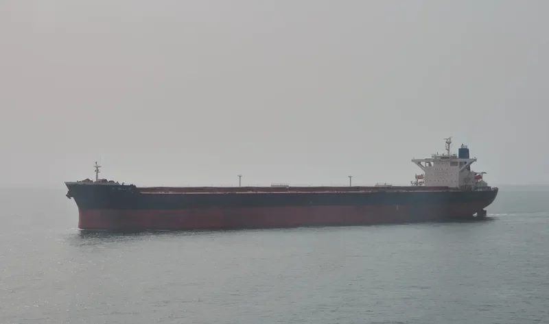 CIC ELLI S Bulk Carrier IMO 9264788