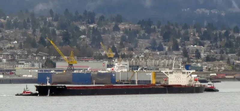 CIC ELLI S Bulk Carrier IMO 9264788 photo 2
