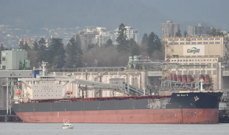 CIC ELLI S Bulk Carrier IMO 9264788 photo 3