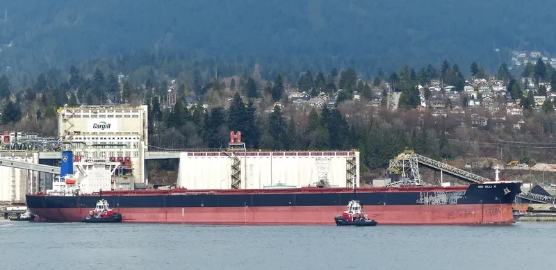 CIC ELLI S Bulk Carrier IMO 9264788 photo 4