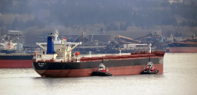 CIC ELLI S Bulk Carrier IMO 9264788 photo 5