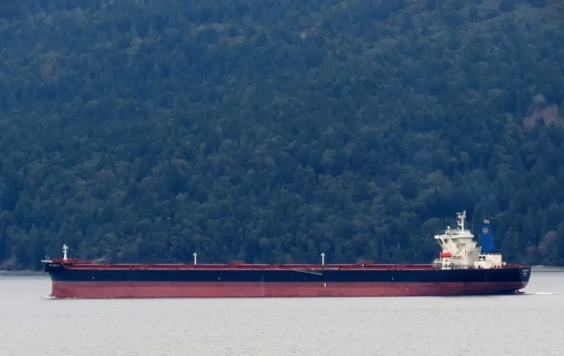 CIC ELLI S Bulk Carrier IMO 9264788 photo 6