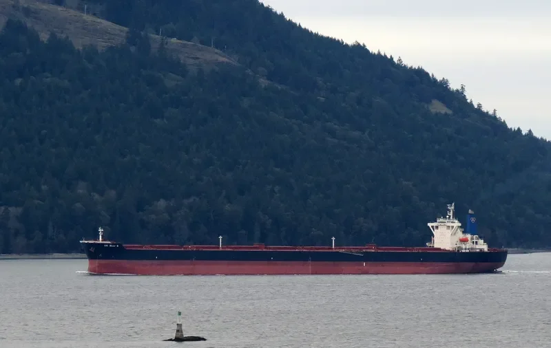CIC ELLI S Bulk Carrier IMO 9264788 photo 7