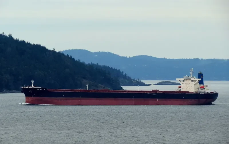 CIC ELLI S Bulk Carrier IMO 9264788 photo 8