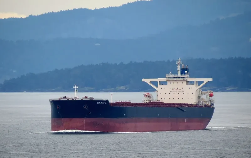 CIC ELLI S Bulk Carrier IMO 9264788 photo 9