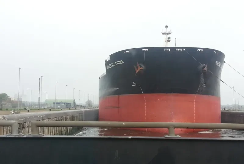 MINERAL CHINA Bulk Carrier IMO 9264790 photo 4