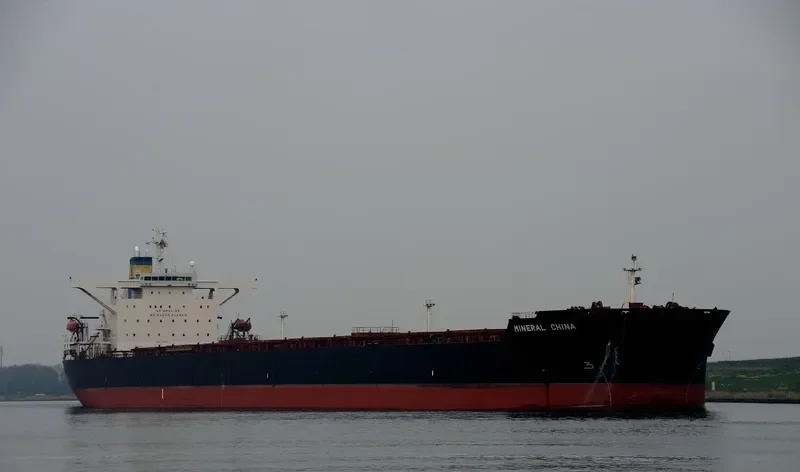 MINERAL CHINA Bulk Carrier IMO 9264790 photo 10