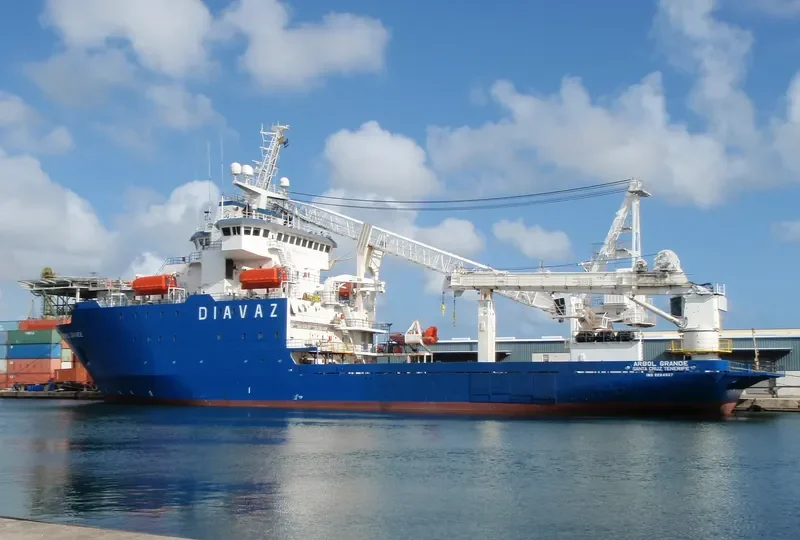 ARBOL GRANDE General Cargo IMO 9264867 photo 2