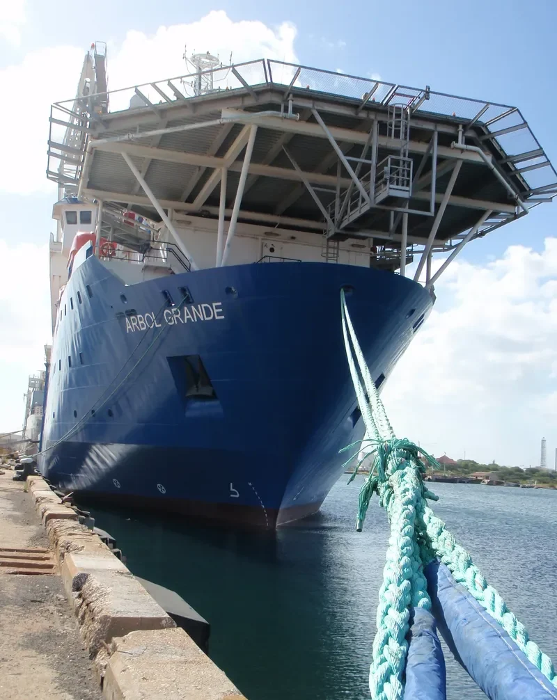 ARBOL GRANDE General Cargo IMO 9264867 photo 5