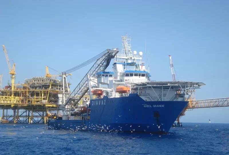 ARBOL GRANDE General Cargo IMO 9264867 photo 6