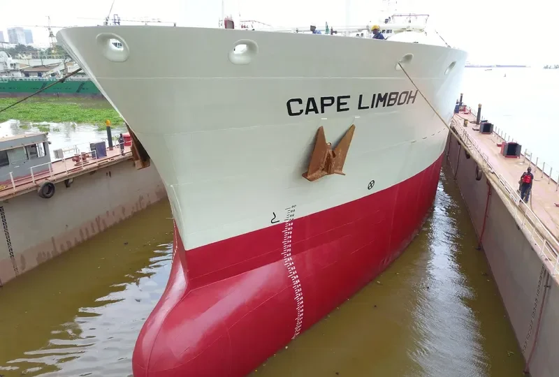 CAPE LIMBOH Tanker IMO 9265378 photo 142