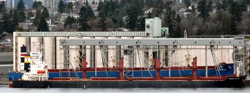 SAMI Bulk Carrier IMO 9265512