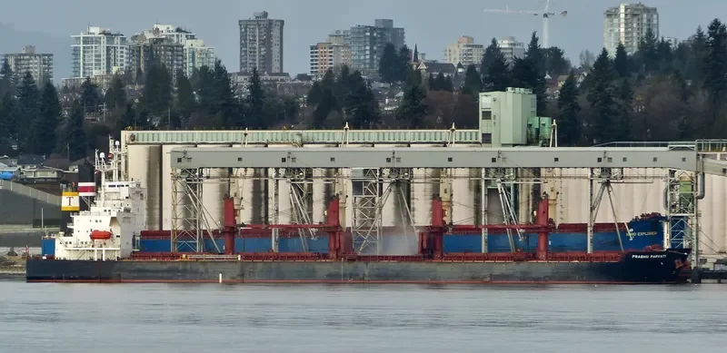 SAMI Bulk Carrier IMO 9265512 photo 2