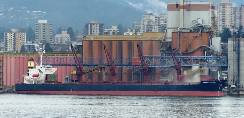 SAMI Bulk Carrier IMO 9265512 photo 3