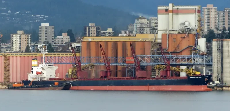 SAMI Bulk Carrier IMO 9265512 photo 4