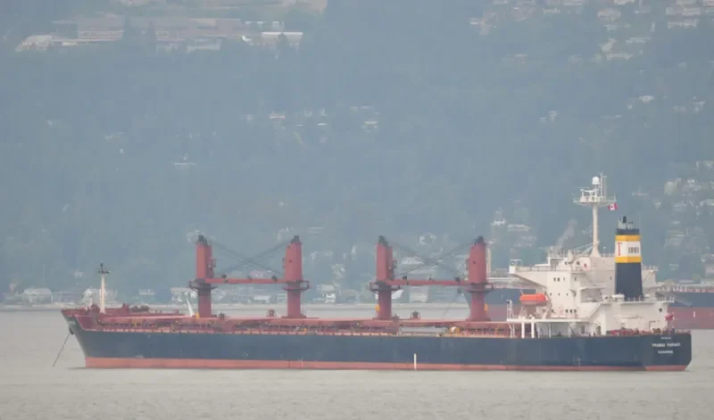 SAMI Bulk Carrier IMO 9265512 photo 5