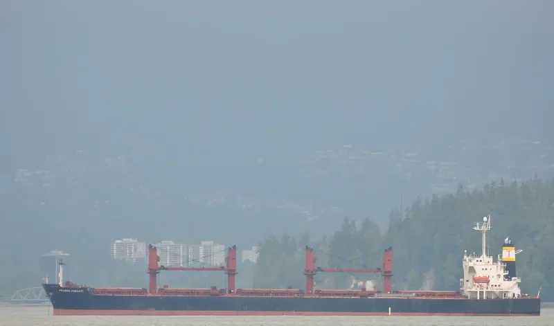 SAMI Bulk Carrier IMO 9265512 photo 6