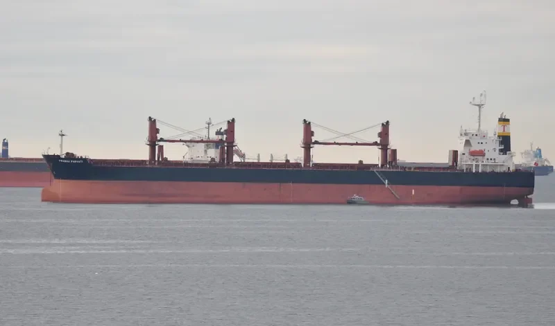 SAMI Bulk Carrier IMO 9265512 photo 8