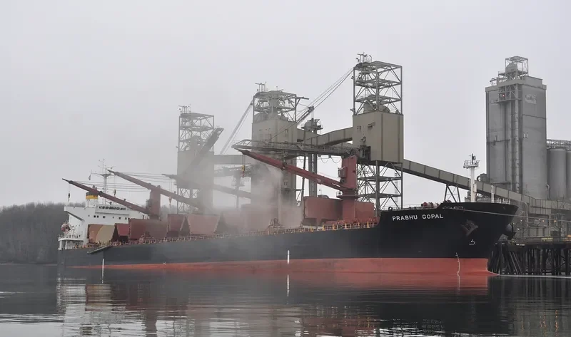 PRABHU GOPAL Bulk Carrier IMO 9265524 photo 2
