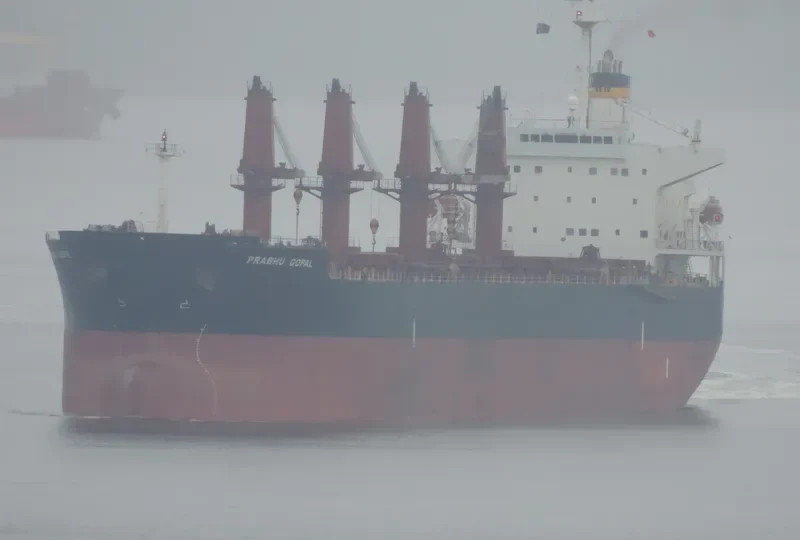 PRABHU GOPAL Bulk Carrier IMO 9265524 photo 3