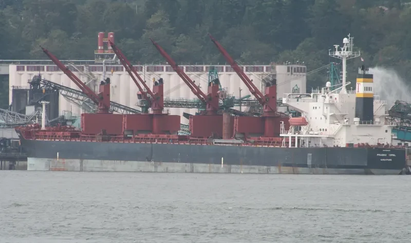 PRABHU GOPAL Bulk Carrier IMO 9265524 photo 5
