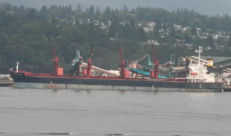 PRABHU GOPAL Bulk Carrier IMO 9265524 photo 6